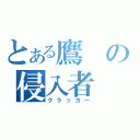 とある鷹の侵入者（クラッカー）