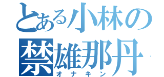 とある小林の禁雄那丹（オナキン）