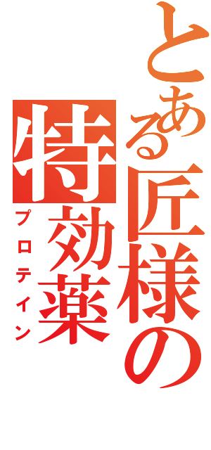 とある匠様の特効薬（プロテイン）