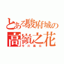 とある駿府城の高嶺之花（今川義元）