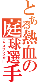 とある熱血の庭球選手（テニスプレイヤー）