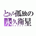 とある孤独の永久衛星（サテライト）