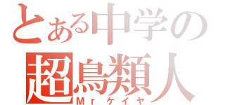 とある中学の超鳥類人（Ｍｒケイヤ）