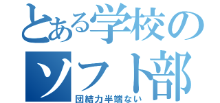 とある学校のソフト部（団結力半端ない）