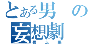 とある男の妄想劇（暴走編）