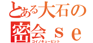 とある大石の密会ｓｅｘ（コイノキューピット）