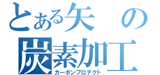 とある矢の炭素加工（カーボンプロテクト）