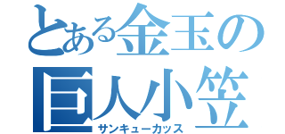 とある金玉の巨人小笠原（サンキューカッス）