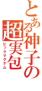 とある神子の超実包（ビックマグナム）