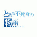 とある不死身の物語（弾幕ごっこ）