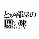 とある部屋の黒い球（ＧＡＮＴＺ）