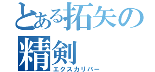 とある拓矢の精剣（エクスカリバー）