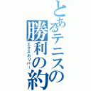 とあるテニスの勝利の約束された剣（エクスカリバー）