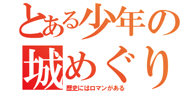 とある少年の城めぐり（歴史にはロマンがある）