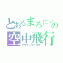 とあるまろにぃの空中飛行（クウチュウヒコウ）