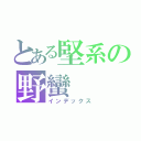 とある堅系の野蠻（インデックス）