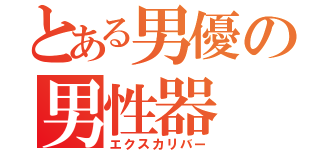 とある男優の男性器（エクスカリバー）