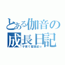 とある伽音の成長日記（子育て奮闘記☆）