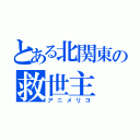 とある北関東の救世主（アニメリコ）