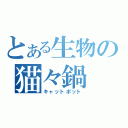 とある生物の猫々鍋（キャットポット）