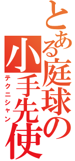 とある庭球の小手先使い（テクニシャン）