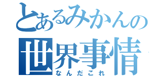 とあるみかんの世界事情（なんだこれ）