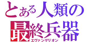 とある人類の最終兵器（エヴァンゲリオン）