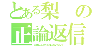 とある梨の正論返信（☆君のこと何も知らないなし☆）