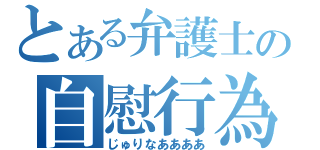 とある弁護士の自慰行為（じゅりなああああ）