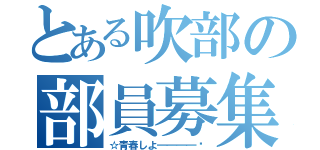 とある吹部の部員募集（☆青春しよ━━━━‼）