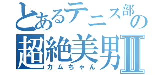 とあるテニス部の超絶美男Ⅱ（カムちゃん）