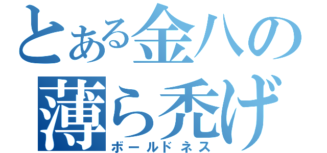 とある金八の薄ら禿げ（ボールドネス）