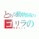 とある動物園のゴリラの名（敬悟＆ふろ）