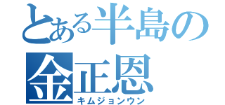 とある半島の金正恩（キムジョンウン）