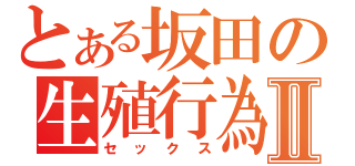 とある坂田の生殖行為Ⅱ（セックス）