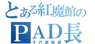 とある紅魔館のＰＡＤ長（十六夜咲夜）