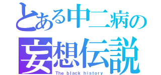 とある中二病の妄想伝説（Ｔｈｅ ｂｌａｃｋ ｈｉｓｔｏｒｙ）