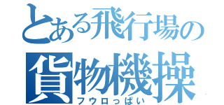 とある飛行場の貨物機操縦士（フウロっぱい）