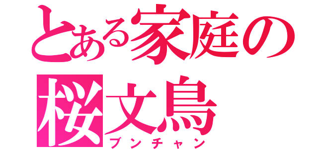 とある家庭の桜文鳥（ブンチャン）