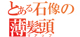 とある石像の薄髪頭（リアップ）