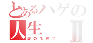 とあるハゲの人生Ⅱ（髪の毛終了）