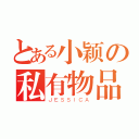 とある小颖の私有物品（ＪＥＳＳＩＣＡ）