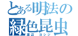 とある明法の緑色昆虫（渡辺　ヨシジ）