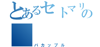 とあるセトマリの （バカップル）