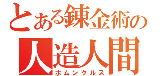 とある錬金術の人造人間（ホムンクルス）