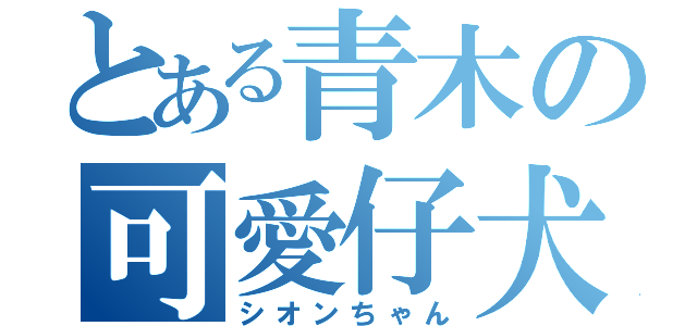 とある青木の可愛仔犬（シオンちゃん）