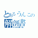 とあるうんこの解剖書（けつの穴偏「続」）