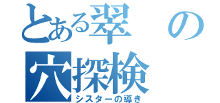 とある翠の穴探検（シスターの導き）