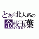 とある北大路の金枝玉葉（北大路花火）