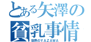 とある矢澤の貧乳事情（世界のＹＡＺＡＷＡ）